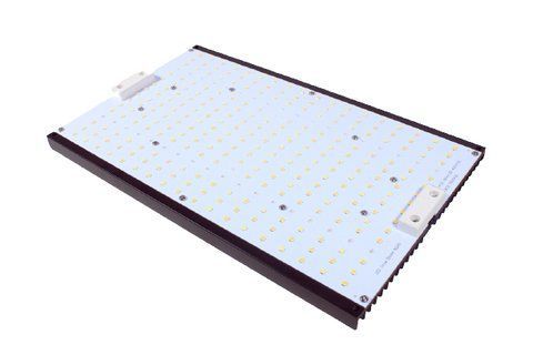 Восстановление и обновление quantum board 2355953959 фото