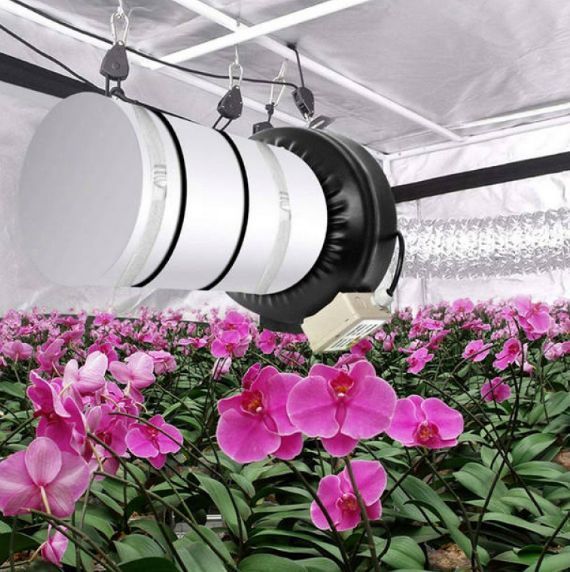 Угольные фильтры Flower Filter 1331786214 фото
