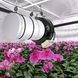 Угольные фильтры Flower Filter 1331786214 фото 6